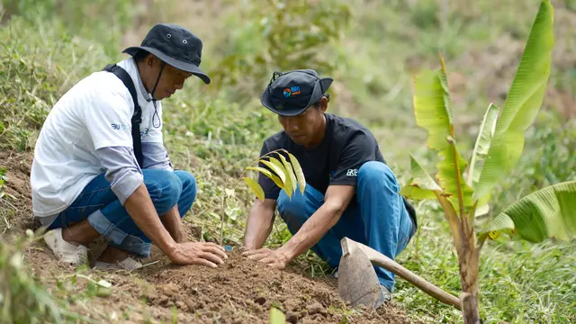 BRI Grow & Green Ubah Nasib Dua Kelompok Tani di Sulawesi Selatan, Jadikan Lahan Kritis Lebih Produktif