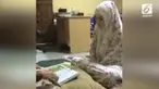 Beredar rekaman seorang wanita mirip Jennifer Dunn menggunakan jilbab dan mendengarkan ceramah dari seorang ustaz.