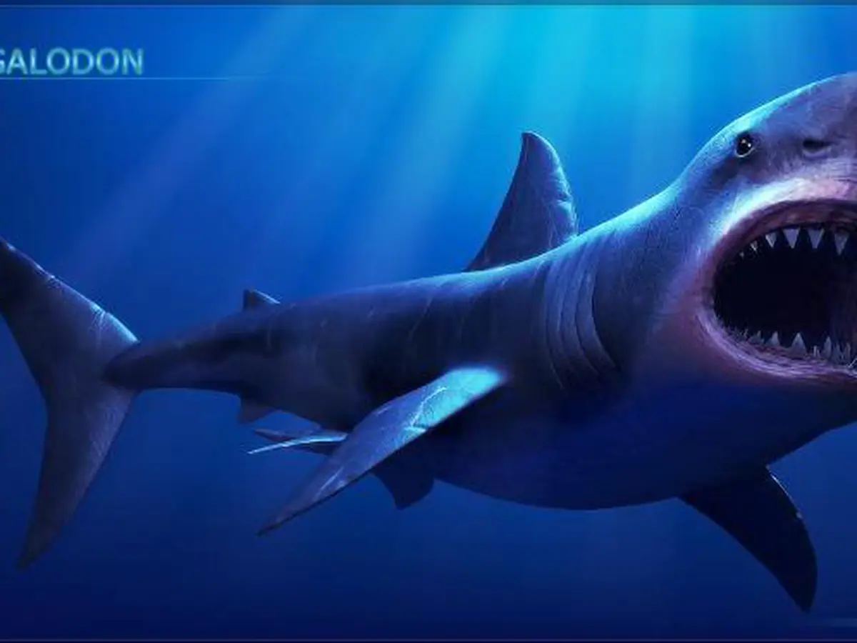 Arti Mimpi yang Berkaitan dengan Ikan, Ini Penjelasannya