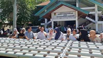 Pemkot Palu Optimalkan Lahan Terbatas dengan Budidaya Hidroganik, Tingkatkan Ketahanan Pangan
