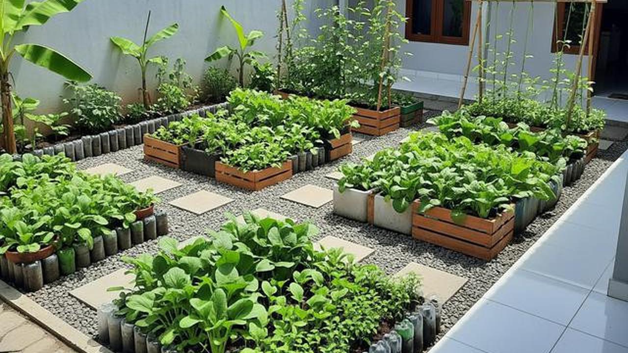 9 Ide Kebun Sayur Hemat Biaya di Kontrakan Sepetak, Panen Segar Lahan Terbatas