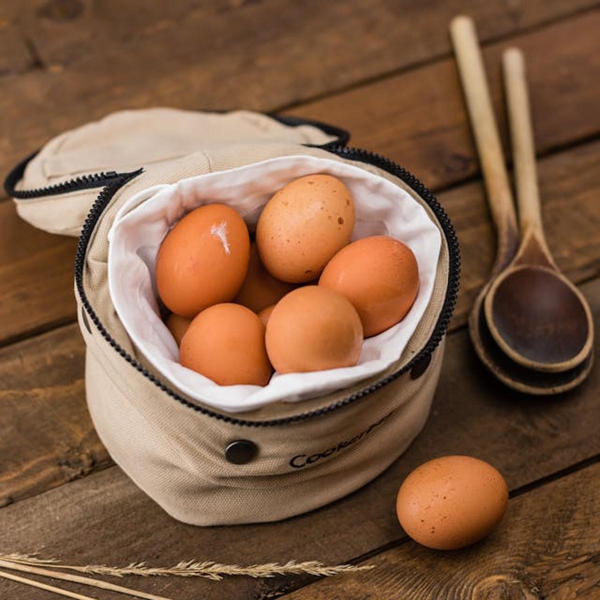 Karakteristik Fisik Telur Omega-3 dan Telur Biasa