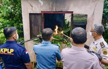 Karantina Kalsel Musnahkan Ribuan Bibit Sawit dan Telur Belangkas Ilegal, Tegaskan Perlindungan Sumber Daya Hayati