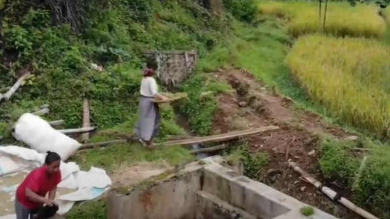 Ditinggalkan kedua orangtua merantau ke kota, kehidupan gadis desa keturunan India ini rela memilih hidup di kampung terpencil.&nbsp;<br>