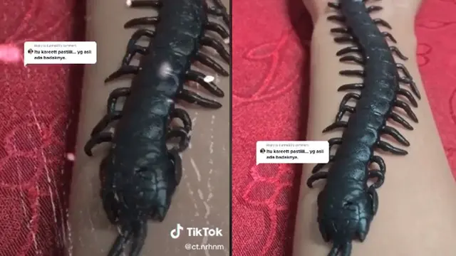 Dikira Mainan, Aksi Wanita Membiarkan Kelabang di Tangannya Ini Bikin Merinding