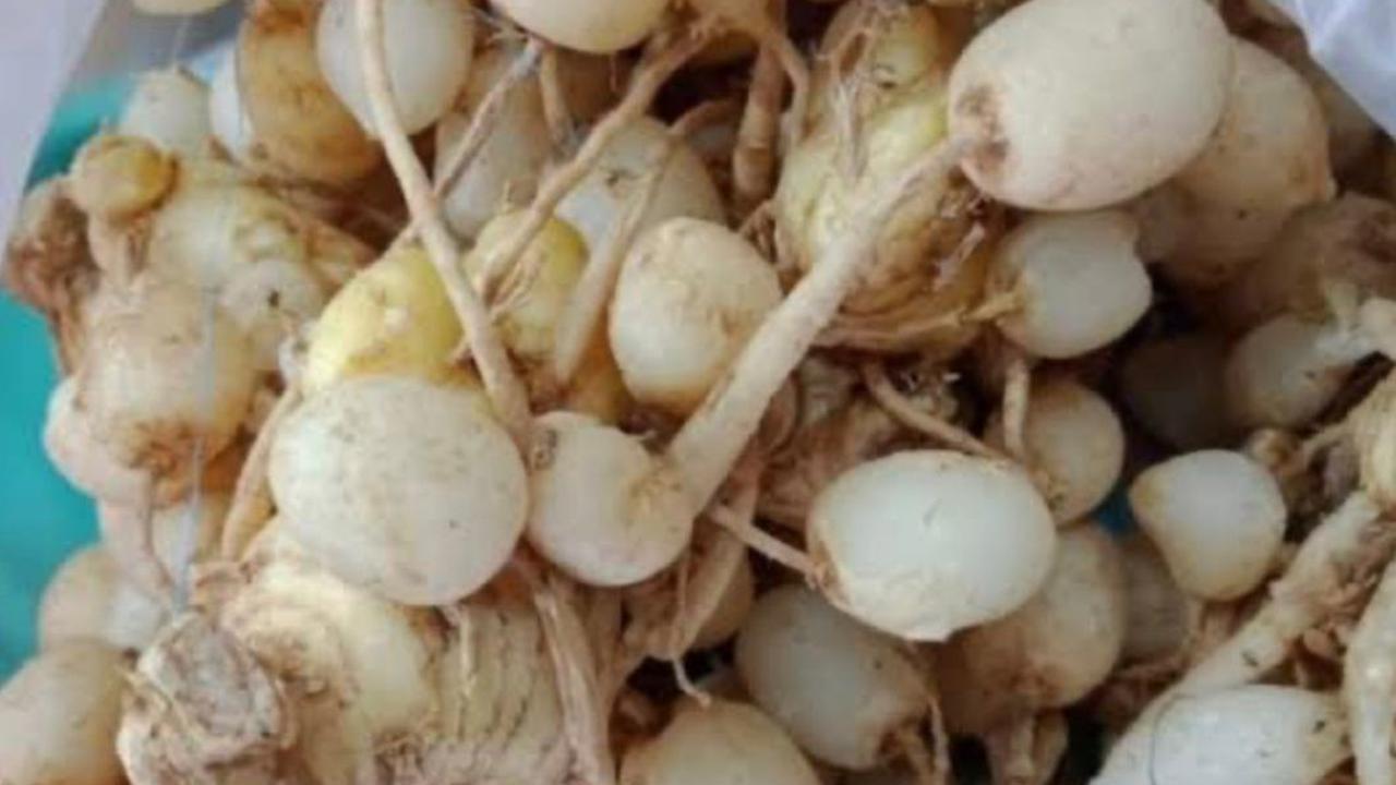 Resep Jamu Kunci Sirih Pandan