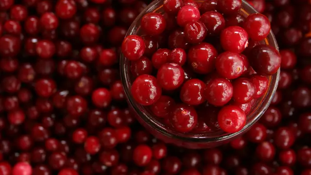 Mengonsumsi cranberry