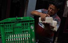 Kenapa Ukuran Tahu dan Tempe Semakin Kecil? Direktur Bulog Beri Penjelasan