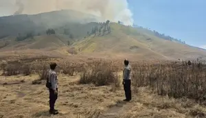 Kebakaran Gunung Bromo Meluas hingga ke Jemplang Malang