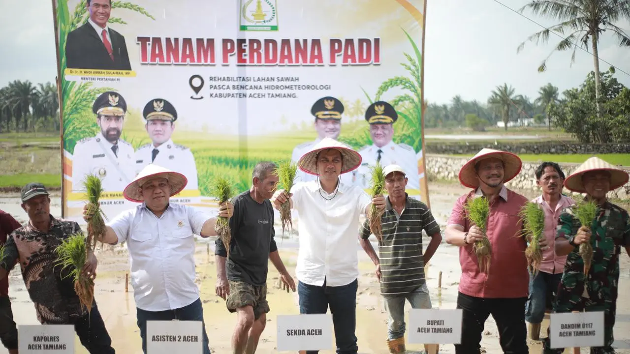 Gerakan tanam padi perdana pascabencana hidrometeorologi.