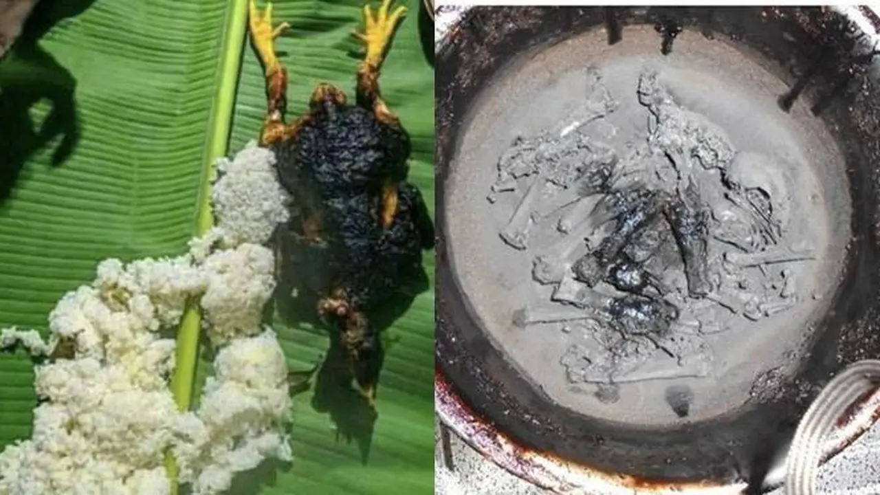 7 Potret Gagal Masak Ayam Ini Bikin Selera Makan Hilang, Ada yang Jadi Abu
