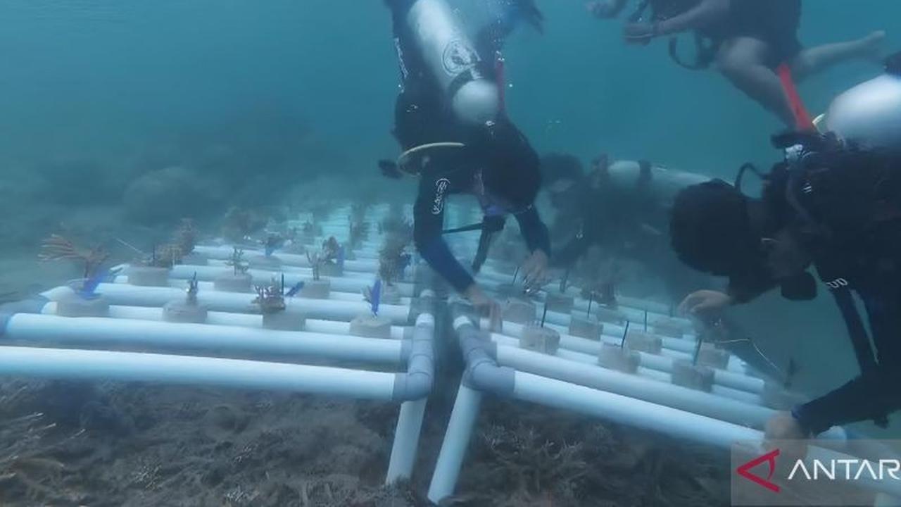 Wakil Menteri Pariwisata Tekankan Ekosistem Laut sebagai Fondasi Pariwisata Berkelanjutan
