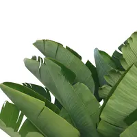 Ilustrasi Daun Pisang (Photo: Pexels/Jannet Serhan)
