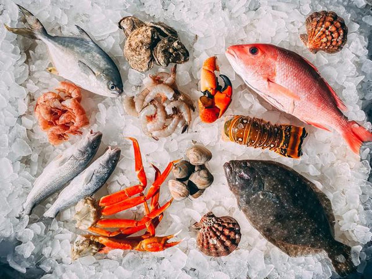 Ilustrasi Seafood