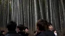 Wisatawan mengunjungi Hutan Bambu Sagano di Arashiyama, Kyoto, Jepang pada 8 Desember 2018. Berada tidak jauh dari pusat kota Kyoto, hutan ini menjulang tinggi di tengah-tengah kota. (Behrouz MEHRI / AFP)