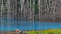 Blue Pond, sebuah kolam buatan di Hokkaido, Jepang dapat berubah warna sesuai dengan cuaca yang terjadi saat itu. (Foto: Amusingplanet.com)