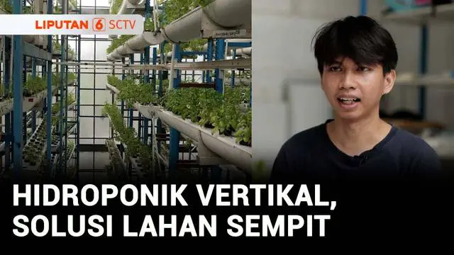 Siapa bilang di Jakarta tidak bisa membuka lahan pertanian. Seperti di tengah keterbatasan lahan, pertanian hidroponik vertikal nampaknya bisa jadi solusi. Tidak hanya menghasilkan sayur tanpa pestisida tetapi cuannya juga luar biasa. Berikut Berani ...