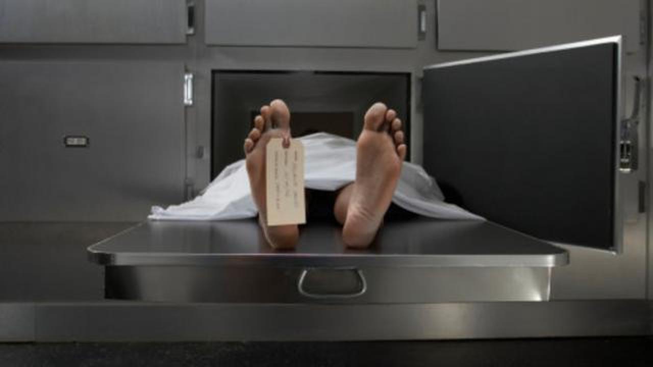 Seorang WNI Tewas di Jerman, Diduga Dibunuh Tetangganya Sendiri