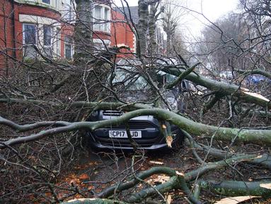 Pertandingan Merseyside derby antara Everton dan Liverpool yang dijadwalkan berlangsung pada hari Sabtu (7/12/2024) telah resmi ditunda akibat cuaca buruk yang disebabkan oleh badai Darragh. (Peter Byrne/PA via AP)