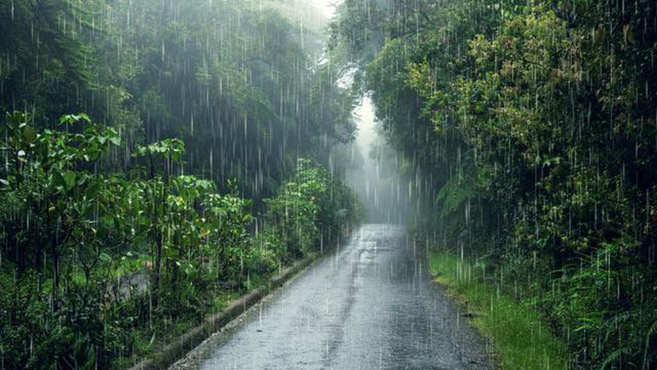 Prakiraan Cuaca Senin 15 Desember: Waspada Hujan Lebat di Sumut dan Jatim