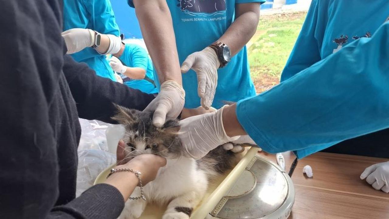 Tahukah Anda? Rumah Sakit Hewan Lampung Bakal Jadi Rujukan Modern, Dukung Kesehatan Satwa dan Tangkal Zoonosis
