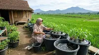 8 Ide Kebun Produktif untuk Rumah yang Dikelilingi Sawah, Optimalkan Lahan dengan Baik