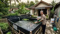 5 Panduan Usaha Ternak Ikan Minim Perawatan untuk Pensiunan Usia 50 Tahun
