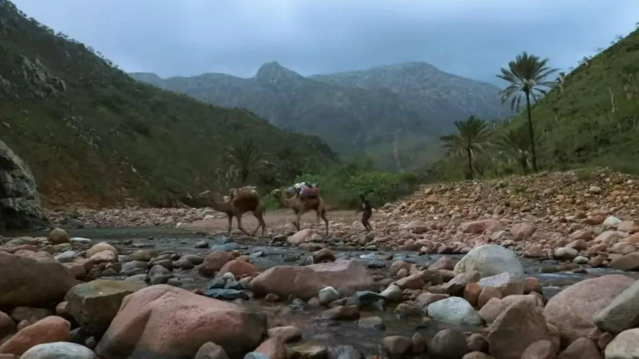 Pulau Socotra jadi Sorotan