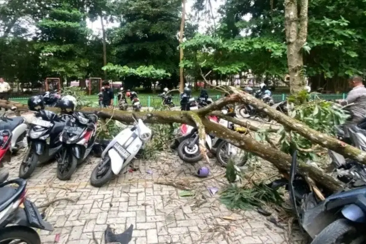 Pohon Tumbang di Unila Hantam 8 Motor Mahasiswa, Ada yang Ringsek Tak Bisa Dipakai