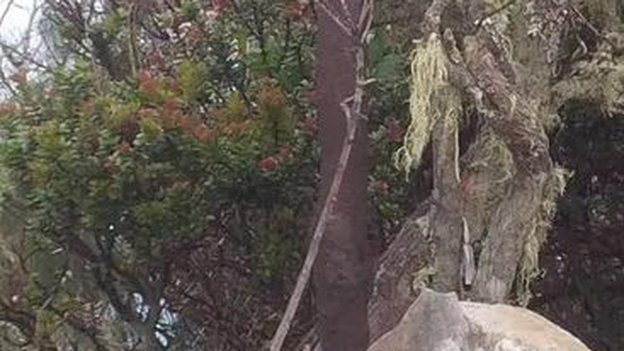 1. Asal-usul Puncak Rengganis di Argopuro
