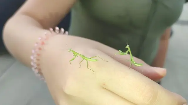 6 Foto Asli Ini Dikira Hasil Editan, Bikin Enggak Nyangka