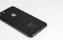 Apple Dikabarkan Bakal Buang Nama iPhone SE 4 untuk Seri Murahnya