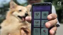 Pemilik anjing menunjukkan aplikasi SIRaJa usai pemasangan microchip di Kantor Dinas KPKP, Jakarta, Rabu (12/9). SIRaJa merupakan aplikasi berbasis android dan web untuk mensinkronisasi data pengendalian rabies di DKI Jakarta. (Merdeka.com/Iqbal Nugroho)