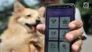 Pemilik anjing menunjukkan aplikasi SIRaJa usai pemasangan microchip di Kantor Dinas KPKP, Jakarta, Rabu (12/9). SIRaJa merupakan aplikasi berbasis android dan web untuk mensinkronisasi data pengendalian rabies di DKI Jakarta. (Merdeka.com/Iqbal Nugroho)