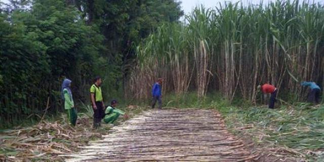 Petani Terpukul