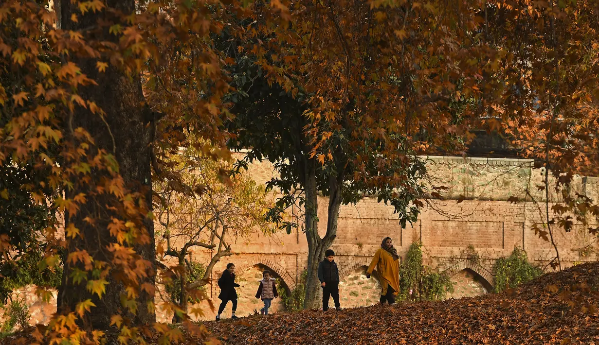 Sebuah keluarga Kashmir berjalan melewati pepohonan yang merontokkan daun musim gugur mereka di taman Nishat Bagh di Srinagar (16/11/2020). (AFP/Tauseef Mustafa)