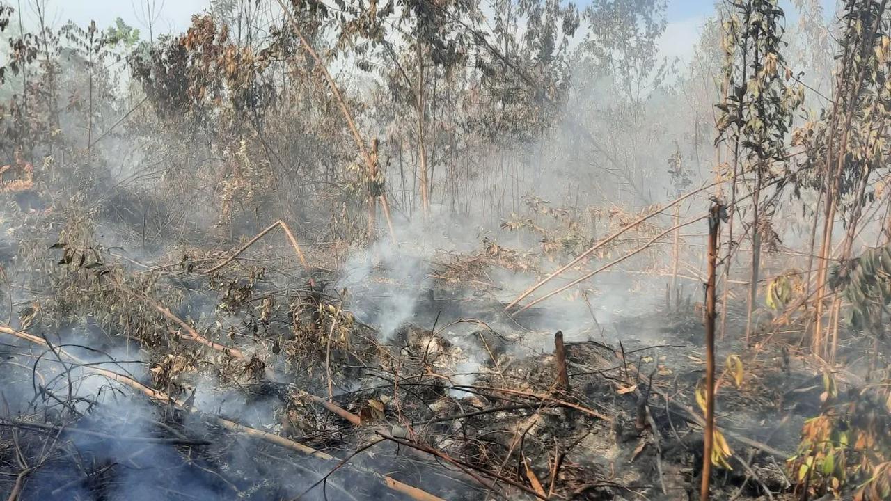 Asep menyebut bahwa lokasi titik api berada cukup jauh di tengah pergunungan. Kondisi tersebut cukup menyulitkan TNI-Polri melakukan pemadaman.<br>