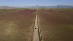 Sebuah mobil melaju di jalan di gurun Atacama yang dipenuhi bunga-bunga bermekaran, dekat Copiapo, Chili, Selasa, 4 Oktober 2022. Fenomena ini biasanya hanya terjadi setiap lima hingga tujuh tahun ketika hujan lebat yang jarang menyebabkan bunga bermekaran. (AP Photo/Matias Basualdo)