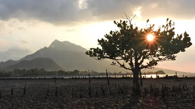 Desa Wisata Kampung Blekok