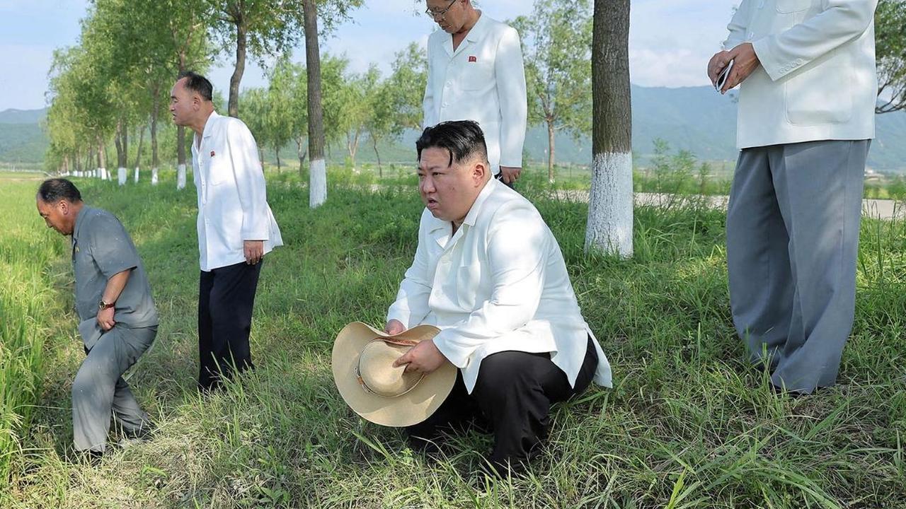 Pemandangan tak biasa terlihat dalam foto-foto terbaru yang dirilis KCNA, kantor berita pemerintah Korea Utara, pada Jumat (18/8/2023). Dalam foto tersebut pemimpin Korea Utara Kim Jong-un tampak jongkok di pinggir sawah. Wajahnya juga tampak serius.