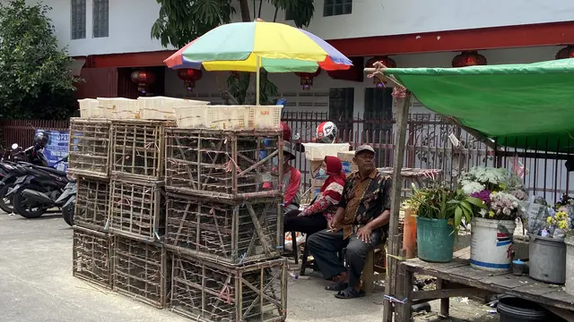 Penjual burung pipit saat Imlek 2023 di Wihara Dharma Bakti, Petak Sembilan, Jakarta Barat