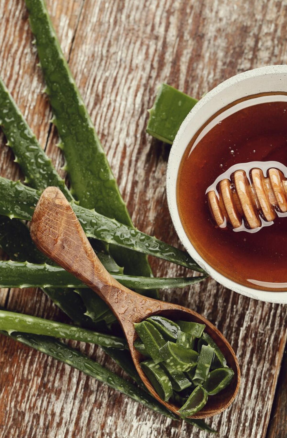 Rahasia Hilangkan Pahit Lidah Buaya dan Resep Lezat yang Bikin Nagih!