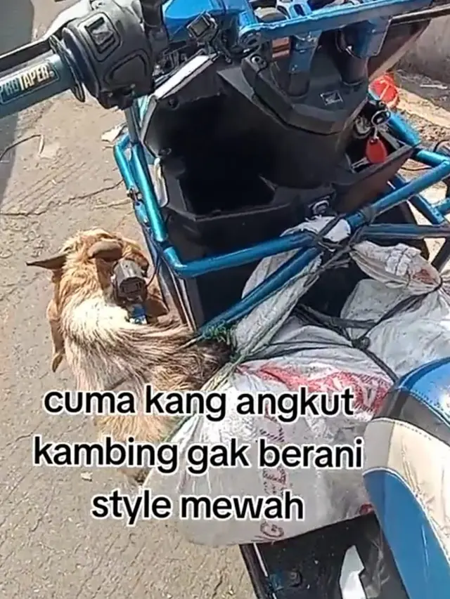 Cara Angkut Hewah Kurban Unik