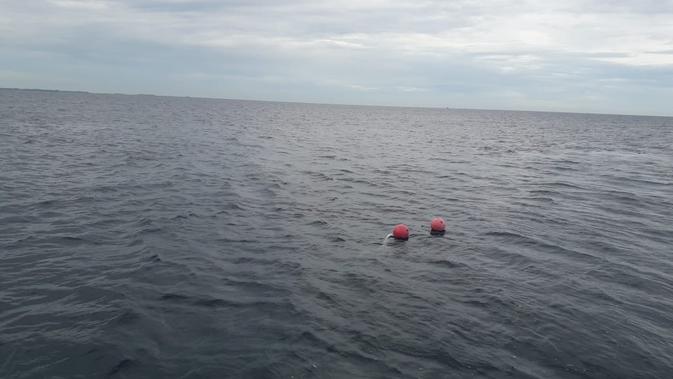 Mooring Buoy di Pulau Seribu (Foto: Liputan6.com / HMB)