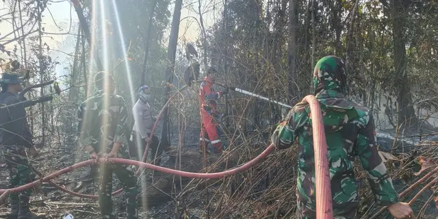Ratusan Hektare Lahan Masih Terbakar di Sumatra-Kalimantan