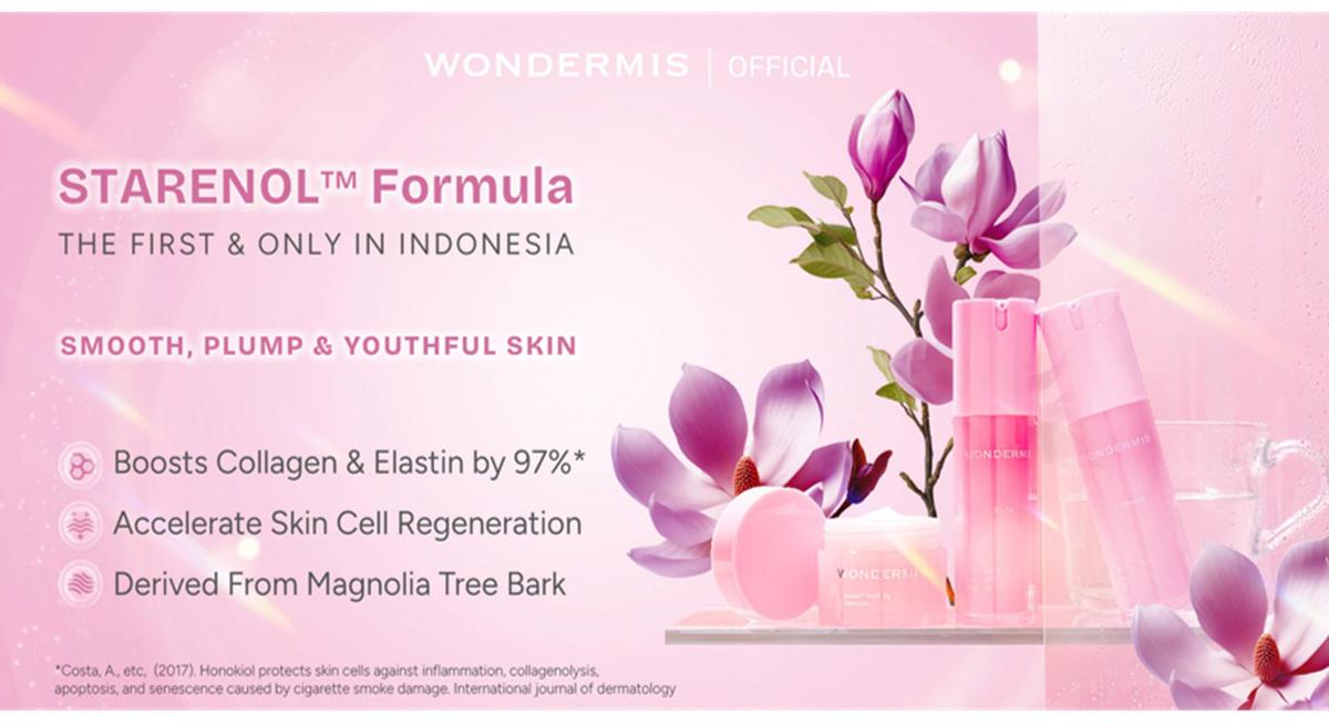 WONDERMIS