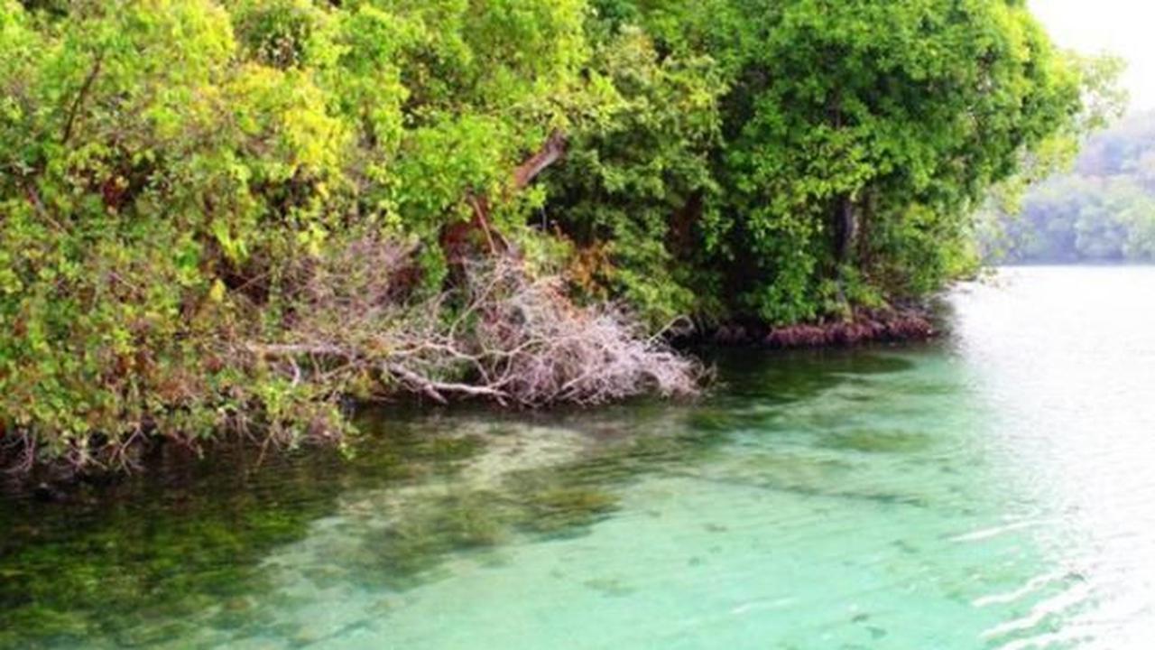 1. Danau Kakaban, Kalimantan Timur