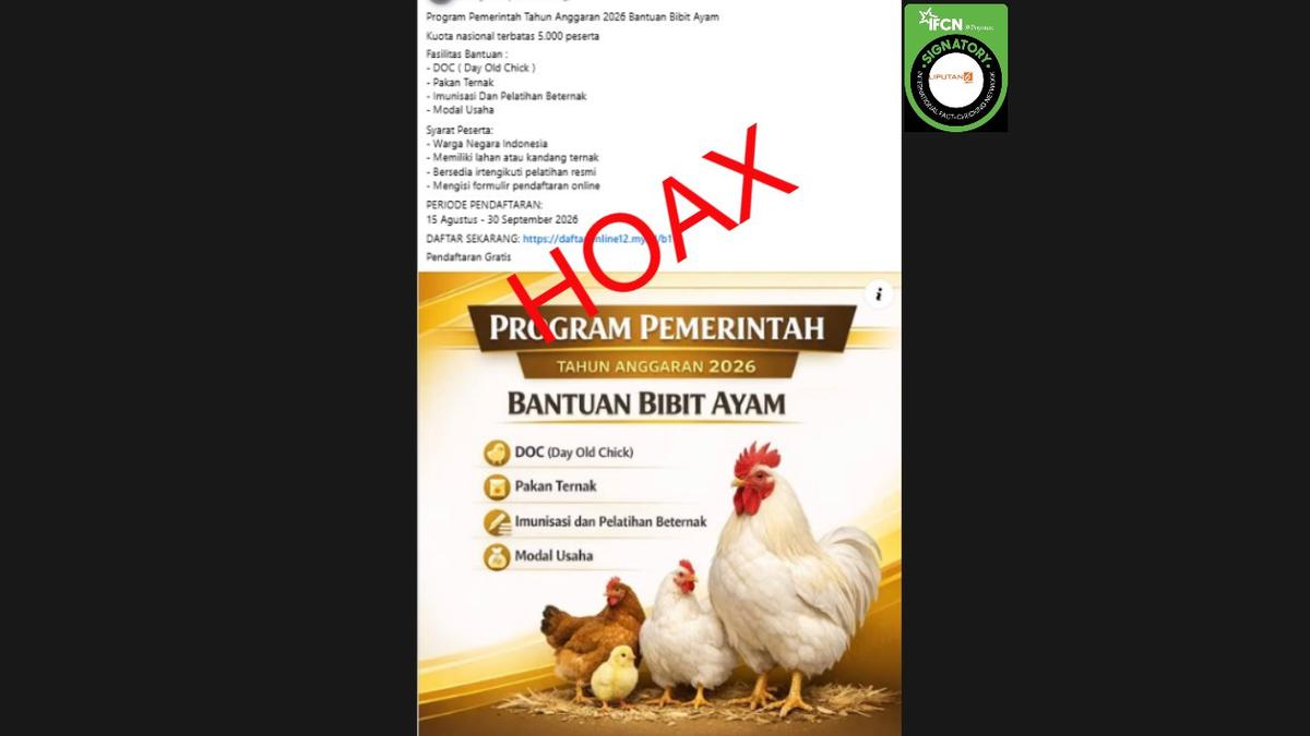 Cek Fakta: Hoaks Link Pendaftaran Bantuan Bibit Ayam untuk 5.000 Peserta