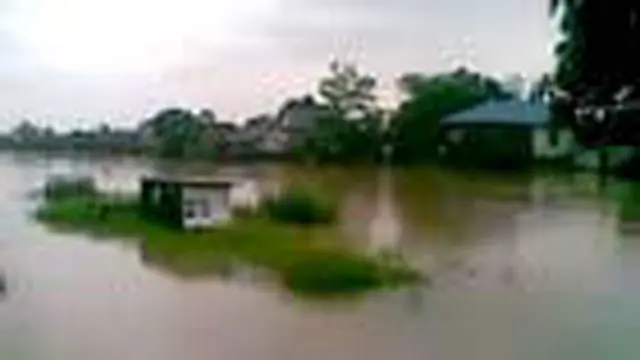 Sungai Martapura meluap, Ratusan Sawah Terendam