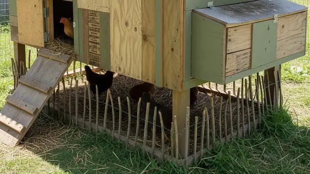 Model Kandang Ayam Ramah Lingkungan dari Bahan Daur Ulang (AI)